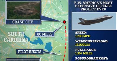 F35 pilot who ejected over South Carolina is heard pleading for an ambulance in bizarre 911 call from resident's house and admitting 'I'm not sure where my plane is'