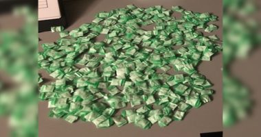 FHP finds pile of Fentanyl, Heroin after traffic stop