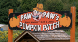 Fall festivities galore at Fender's Farm