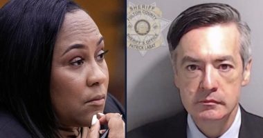 Fani Willis rejects Ken Chesebro's RICO immunity arguments