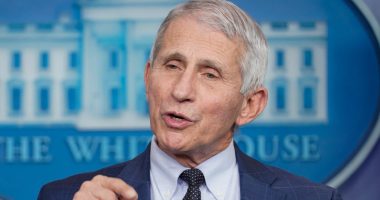 Fauci says DeSantis comments trigger 'crazy' people: 'reason why I have to have security'