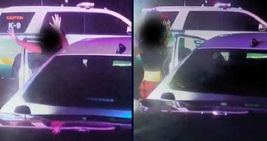 Florida kids travel over 200 miles in mom's stolen car: Cops
