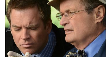 Former ‘NCIS’ Star Michael Weatherly Mourns David McCallum: “He Made Every Moment Count”