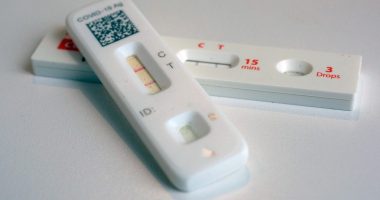 Free COVID test kits are about to be available again. Here's how to get them.