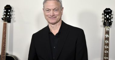 Gary Sinise to receive honorary AARP Purpose Prize Award