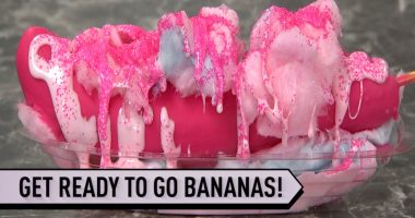 Get Ready to go bananas: The Original Banana Co. redefines sweetness!