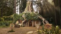 Get into my swamp! Shrek fans can now stay in the beloved ogre's tree house for free