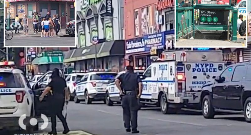 'Grenade' shuts down NYC subway lines during rush hour