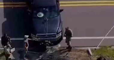 A Florida alligator was found with a dead body clamped between its jaws as it made its way down a canal near Clearwater