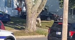 The man led cops on a high speed chase to his mother's house, where police said some form of argument ensued before he drove into his mom