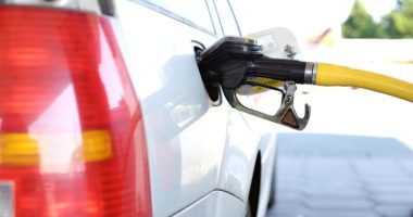 ⛽ How gas prices have changed in Florida in the last week