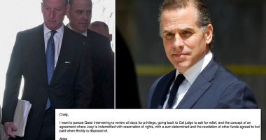 Hunter Biden 's hotshot lawyer has been accused of involvement in a 'brazen coverup' and 'far-reaching conspiracy' to violate court orders, hide documents, and encourage a witness to lie under oath. Attorney Abbe Lowell is accused in court documents filed last Friday of secretly working for Middle East nation Qatar in a scheme to conceal communications about an alleged computer hacking plot.