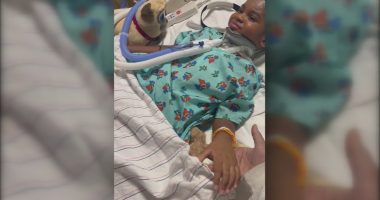 'I thought I was gonna lose my son' | 5-year-old boy partially paralyzed after he and his mother were hit by drunk driver