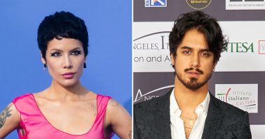 Inside Halsey's Relationships With Ex Alev Aydin and New Man Avan Jogia
