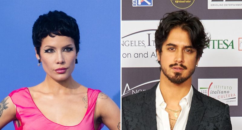 Inside Halsey's Relationships With Ex Alev Aydin and New Man Avan Jogia