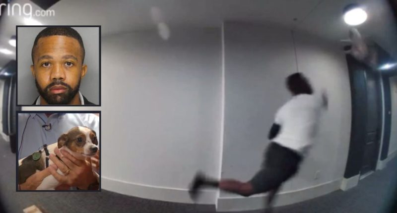James Moses allegedly threw Smokey the dog at ceiling, wall