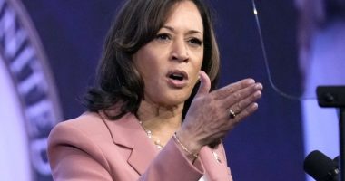 Kamala Harris Says She’s Ready to Take Over as President if Biden Becomes Ill - Here’s What Could Happen