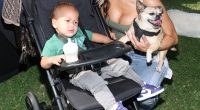 LEGENDARY LOVE CANNON HELPS BREAK GUINNESS WORLD RECORD WITH "PAW PATROL: THE MIGHTY MOVIE"