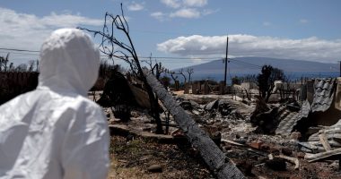 Lahaina family finds cherished heirlooms and devastation in first home visit after deadly wildfire