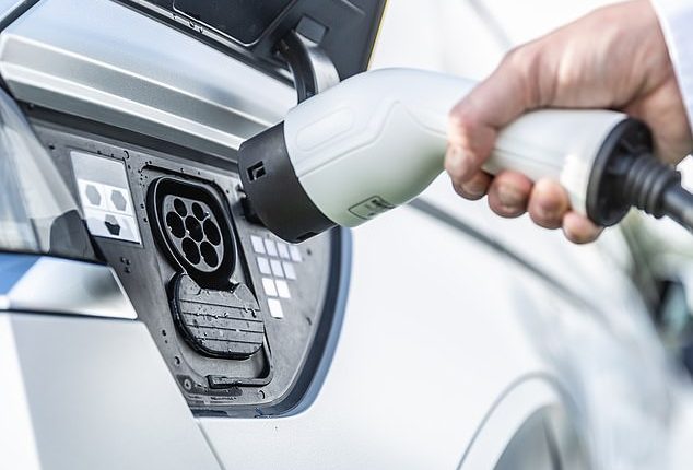 Taking charge: Lithium is a crucial component in electric car batteries