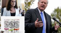 Mark Meadows accidentally guzzled White Claws in meeting: book