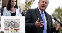 Mark Meadows accidentally guzzled White Claws in meeting: book