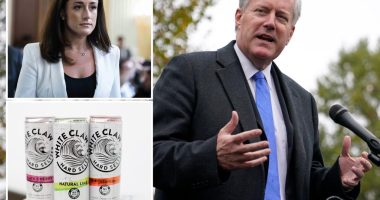 Mark Meadows accidentally guzzled White Claws in meeting: book