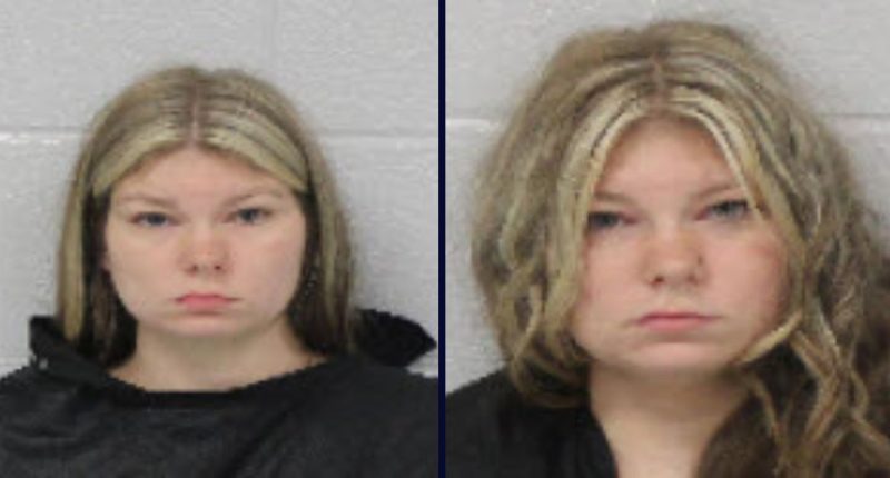 McKenzie Nicole Cook arrested for child molestation, again