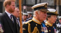 Meghan Markle & Prince Harry’s Attempts to “Rebuild Public Image” …