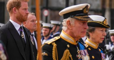 Meghan Markle & Prince Harry’s Attempts to “Rebuild Public Image” …