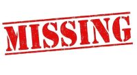 Melanie Palmer Missing