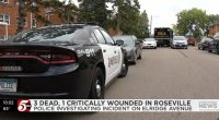 Meng Vang killed 2 friends in murder-suicide: Police