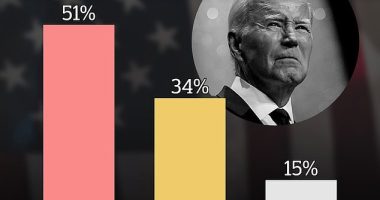 More than half of Americans believe President Joe Biden was probably involved in his son's foreign business dealings, including a majority of independents, according to exclusive polling conducted for DailyMail.com