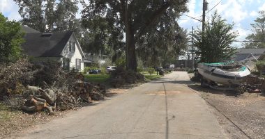 Neighbor's tree falls in homeowner's yard in Orange Park. Who's responsible?
