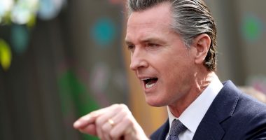 Newsom’s American Dream: CA Legal Course Urges Puberty Blockers for Kids