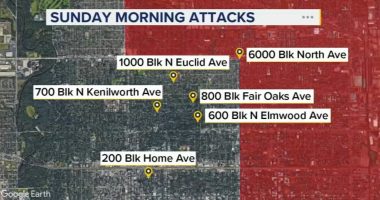 Oak Park police chief voices concern after robberies, carjacking, assault all reported in 1 night