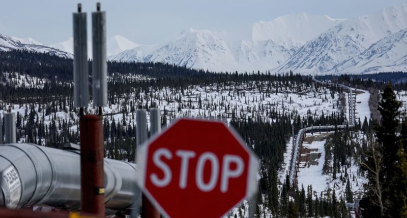 Oil group OPEC criticizes IEA over peak fossil fuel demand forecast