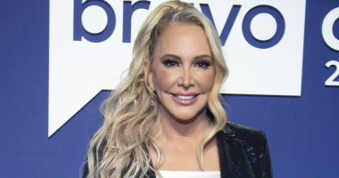 Shannon Beador's Behavior Has Caused Problems In The Past