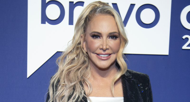 Shannon Beador's Behavior Has Caused Problems In The Past