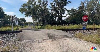 Six people are dead, including three children, after a train crashed into their SUV Saturday evening - at this private railroad crossing in Plant City, Florida. Five in the backseat died on the scene after being ejected from the vehicle, while the  driver, aged 52, died overnight