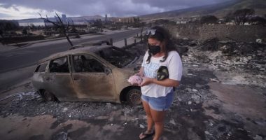 Residents prepare to return to sites of homes demolished in Lahaina wildfire 7 weeks ago