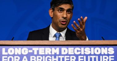 Rishi takes axe to Tory green plans warning current 2030 target would cost families £15,000: PM delays ban on gas boilers and petrol and diesel cars, scraps plans for seven bins per home and says there will be no extra tax on flights or meat