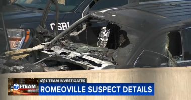 Romeoville murders suspect Nathaniel Huey Jr. was 'irrational and erratic' in picture painted by internal investigative records