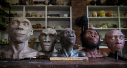 Science paints new picture of the past, when we mixed and mated with other kinds of humans
