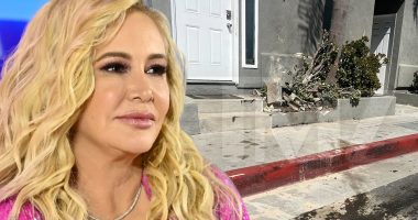 Shannon Beador Offers to Pay For Damaged Property Following DUI