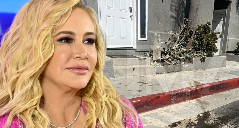 Shannon Beador Offers to Pay For Damaged Property Following DUI
