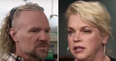 Sister Wives' Kody, Janelle Split '2 or 3 Times' Before Divorce