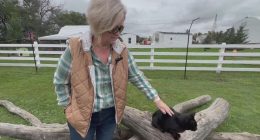 Someone You Should Know: Alison Smith and her beloved Kitty City
