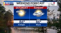 Sunshine and comfortable humidity through the weekend, rain returns next week