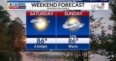Sunshine and comfortable humidity through the weekend, rain returns next week